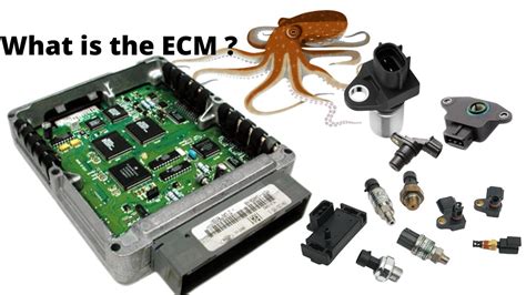 em098|Standard Motor Products EM098 Engine Control Module